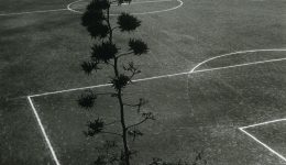 Puerto de la Cruz No17-29_1980