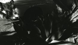 Valle Gran Rey No17-33_1980